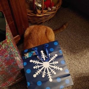 Meet your Posher, Dawn